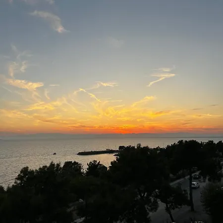 “the Elysian” Center